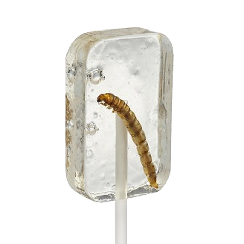 Hotlix Tequila Worm Lollipop