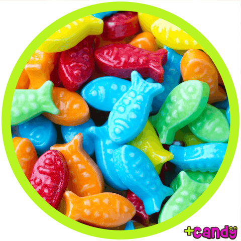 Aquarium Guppies [500g] - Plus Candy