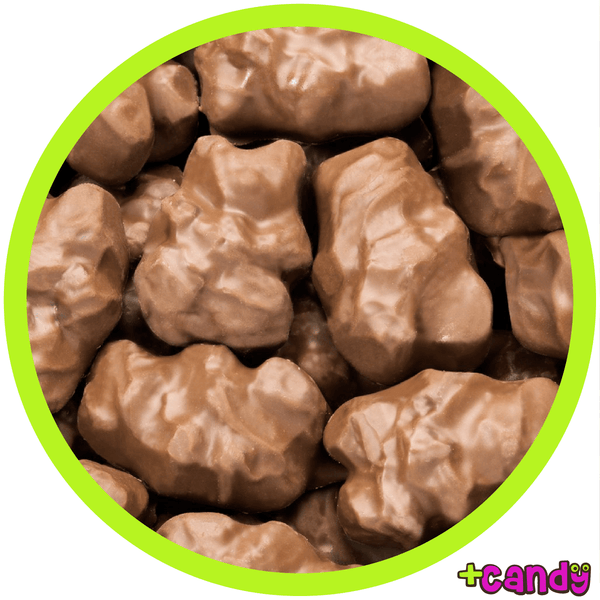 Chocolate Covered Gummi Bears [500g]