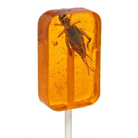 Hotlix Cricket Lick It Sucker - Orange