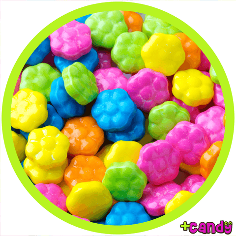 Flower Pressed Candy [500g]